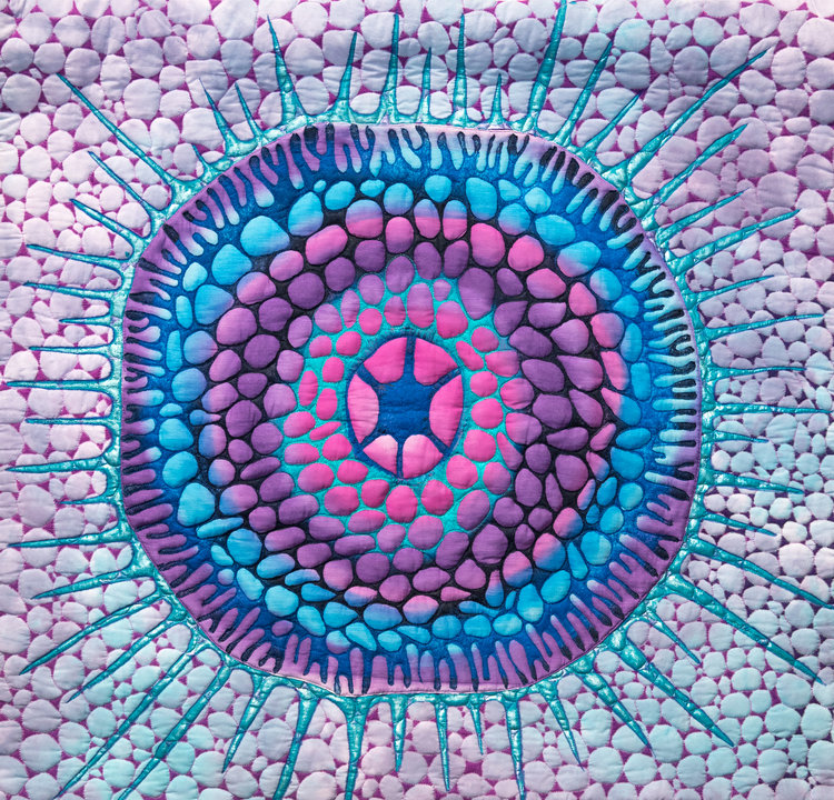 Beyond the Naked Eye II